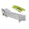 Asparagus washing and cleaning machine